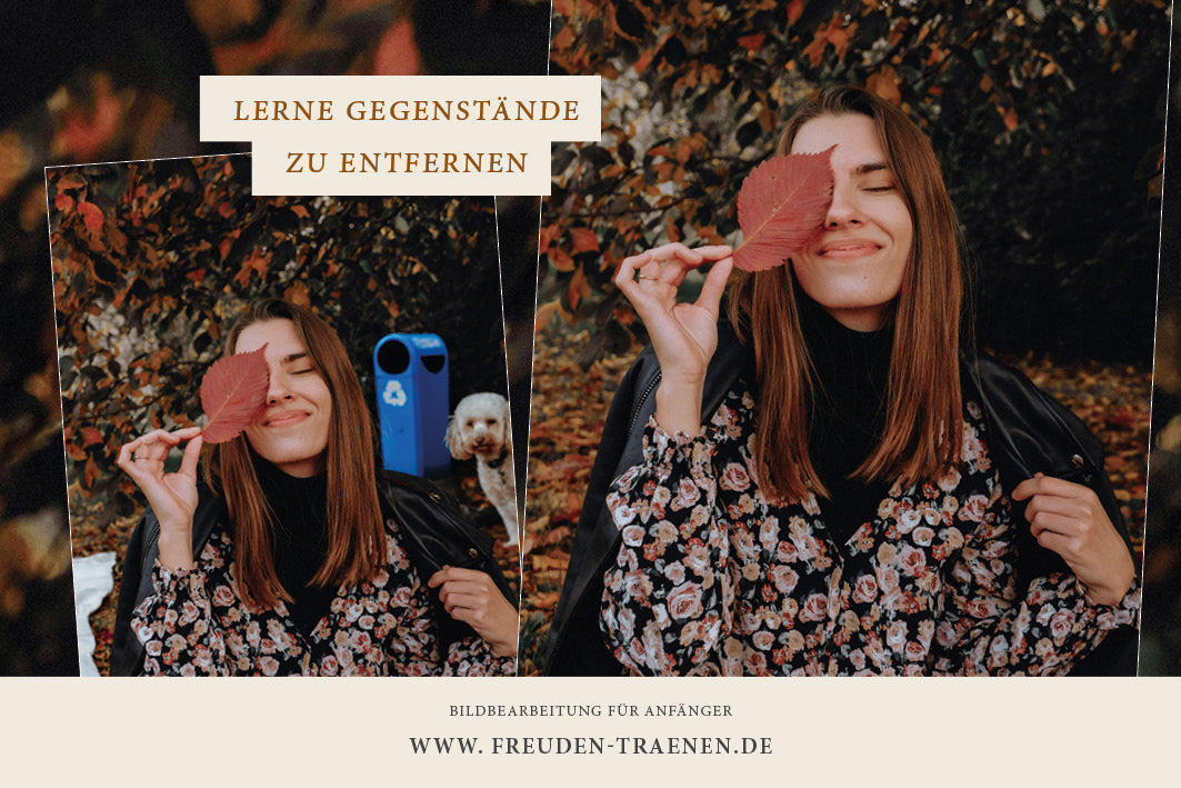 Bildbearbeitung lernen Rastede Anfängerkurs